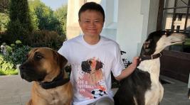 Основатель Alibaba поддержал приюты для бездомных животных «ПовоДОГ»