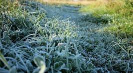 Хакасии угрожают заморозки