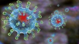 Эксперты: Коронавирус может научиться скрещиваться с ВИЧ