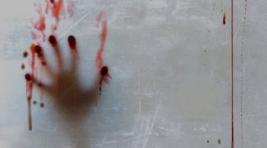 Полиция Хакасии нашла вора по оставленным им кровавым следам