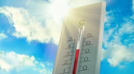 Погода в Хакасии 28 июня: Вновь жара