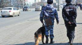 В России ожидается ухудшение криминогенной обстановки