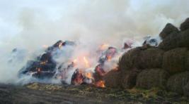 В Хакасии из-за детской шалости сгорело сено