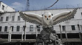 В «Полярной сове» нашли нарушения режима