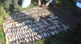 Абаканский ЛО МВД завершил расследование дела о незаконной добыче рыбы