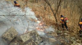 «Черных лесорубов» заподозрили в выжигании до 9 тыс. гектаров леса
