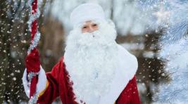 Взрослые россияне признались, чего просят у Деда Мороза