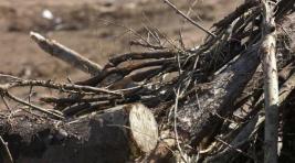 Подсиненский карьер для растительных отходов откроют 3 апреля