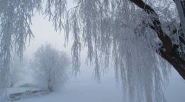 Погода в Хакасии 21 февраля: Ветер меняется, но холод пока не уходит