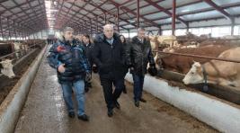 Глава Хакасии посетил животноводческий комплекс в селе Целинное