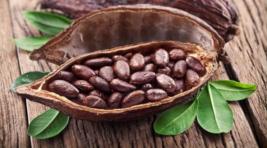 Ученые: какао и шоколад содержат много витамина D2