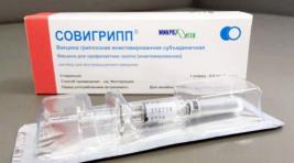 В Хакасии стартовала вакцинация от гриппа