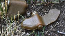 В Донецке три мирных жителя погибли на минах ПФМ-1 «Лепесток»