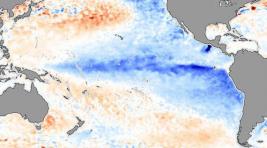 Вильфанд: Явление Ла-Нинья начнется осенью