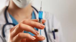 В Хакасии началась вакцинация против клещевого энцефалита