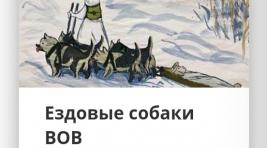 Музей Победы открыл выставку "Собаки-герои", в которую вошли рисунки жителей Хакасии
