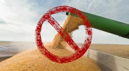 Кремль: Участие России в «зерновой сделке» прекращено