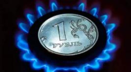 В Словении отказались платить за газ в рублях