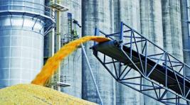 Россия начнет ежемесячные поставки зерна в Венесуэлу