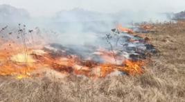 В Хакасии вводится особый противопожарный режим