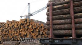 Из Хакасии и юга Красноярского края стали больше вывозить лесоматериалов