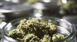 В бане жителя Хакасии нашлось почти семь килограммов марихуаны