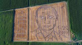 Итальянский фермер нарисовал Путина трактором (ВИДЕО)