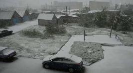 В Воркуте выпал снег