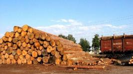В Хакасии продолжается регистрация пунктов приема и отгрузки древесины