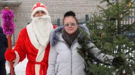 В Хакасии полицейские будут раздавать елки хорошим людям