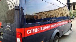 В Петербурге арестованы педагоги-педофилы