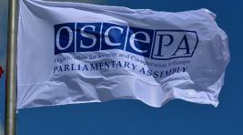 ПА ОБСЕ вынесла резолюцию против «Потоков»