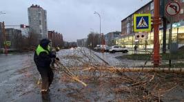 На Кузбассе произошла мощнейшая за последние десятилетия буря