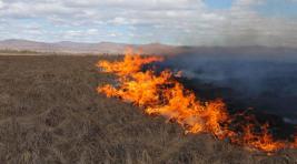 В Хакасии отмечен всплеск степных пожаров