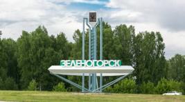В Красноярском крае задержали двух диверсантов