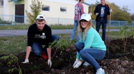 РУСАЛ организовал посадку деревьев в Саяногорске (ФОТО)