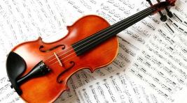 В Германии туристка забыла в поезде скрипку Страдивари
