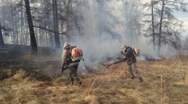 Лес Хакасии горел дважды за майские праздники