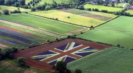 Британские фермеры предупредили о дефиците продовольствия