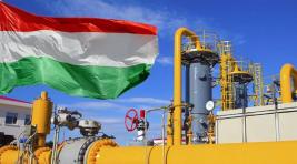 Венгрию призвали отказаться от российского топлива
