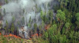 Рядом с Хакасией лесные пожары уничтожили 70 домов, где жили 339 человек