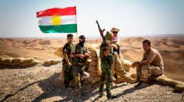 СМИ: Курды ведут переговоры с Россией о защите от турков