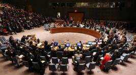 В СБ ООН принята российская резолюция по Йемену