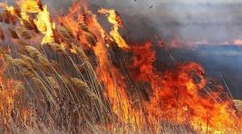 За выходные в Хакасии отмечено 16 степных пожаров