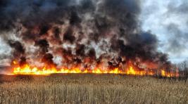 В Хакасии могут загореться леса