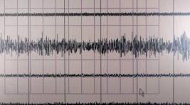 На Камчатке зафиксировали два землетрясения