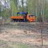 В городском парке Абакана высадили яблоневый сад