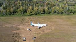 Самолёт, совершивший аварийную посадку в Новосибирской области, застрял в поле на несколько месяцев