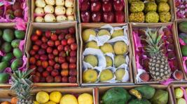 Россия разрешила Египту возобновить поставки фруктов и овощей, но не картофеля