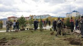 В Саяногорске Центр спортивных единоборств украсили молодые деревья